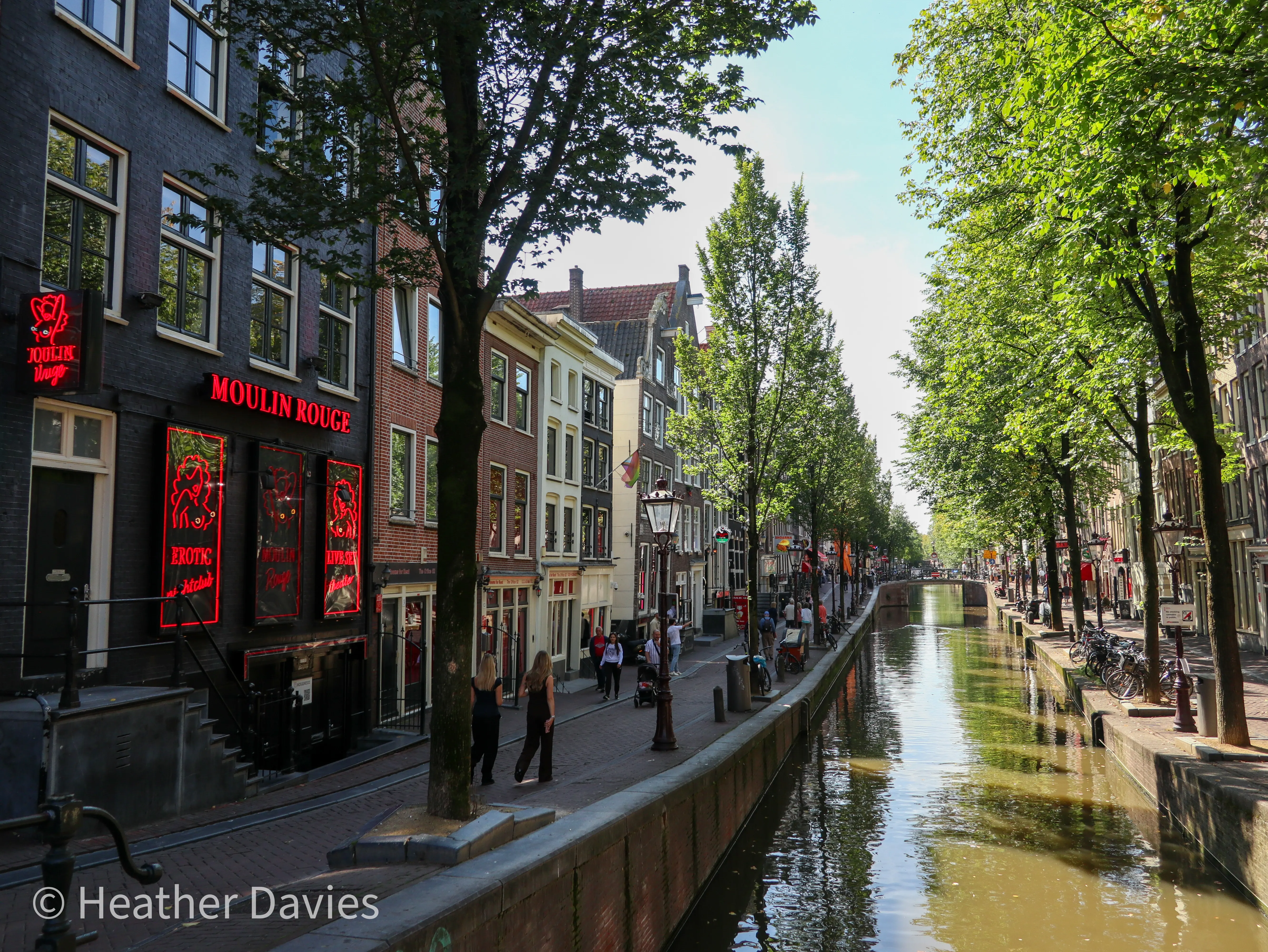 A tree-lined Amsterdam canal with historic buildings, bicycles and reflections in the water