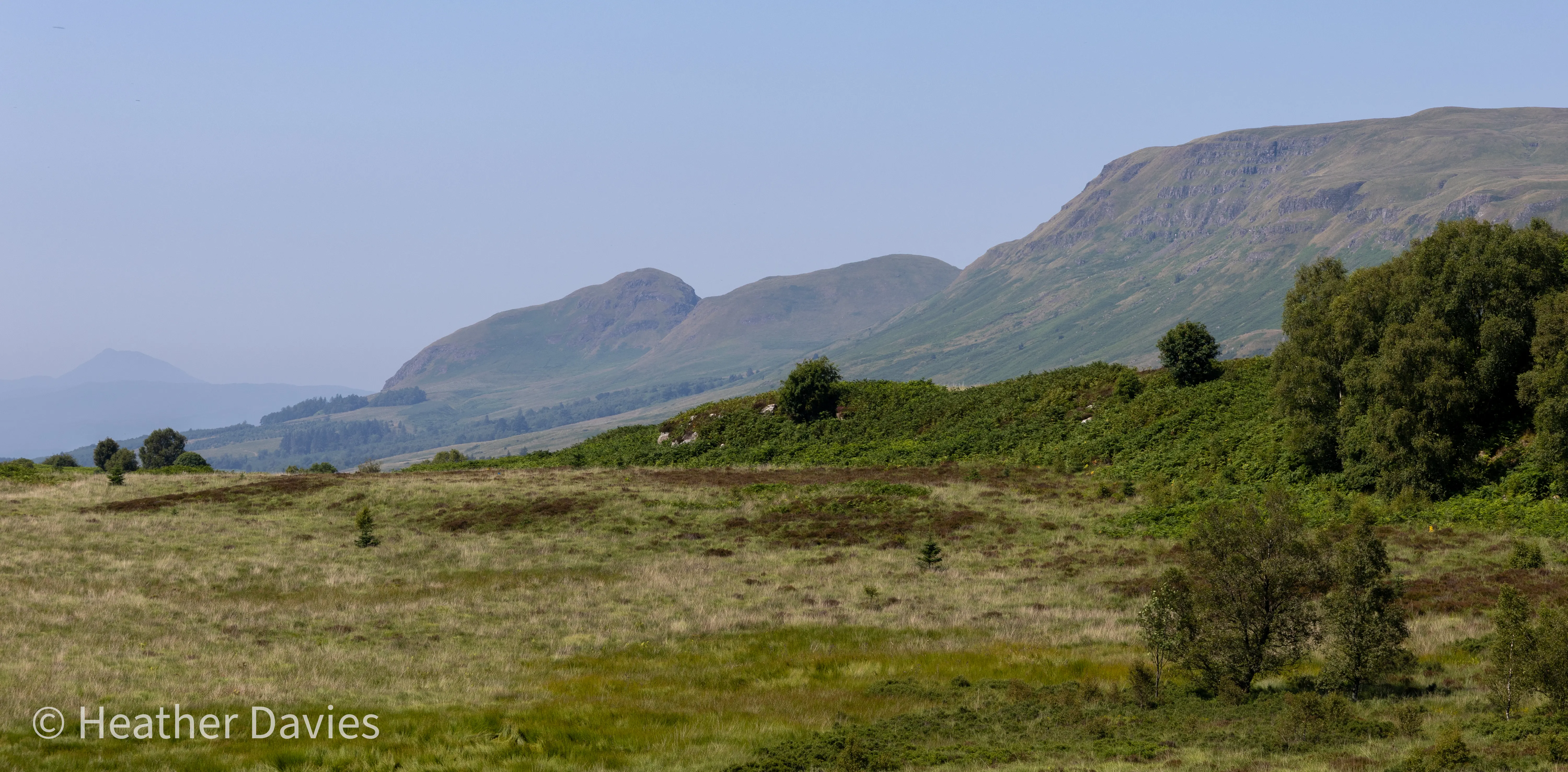A panoramic view across green fields towards the Campsie Fells beneath a blue sky
