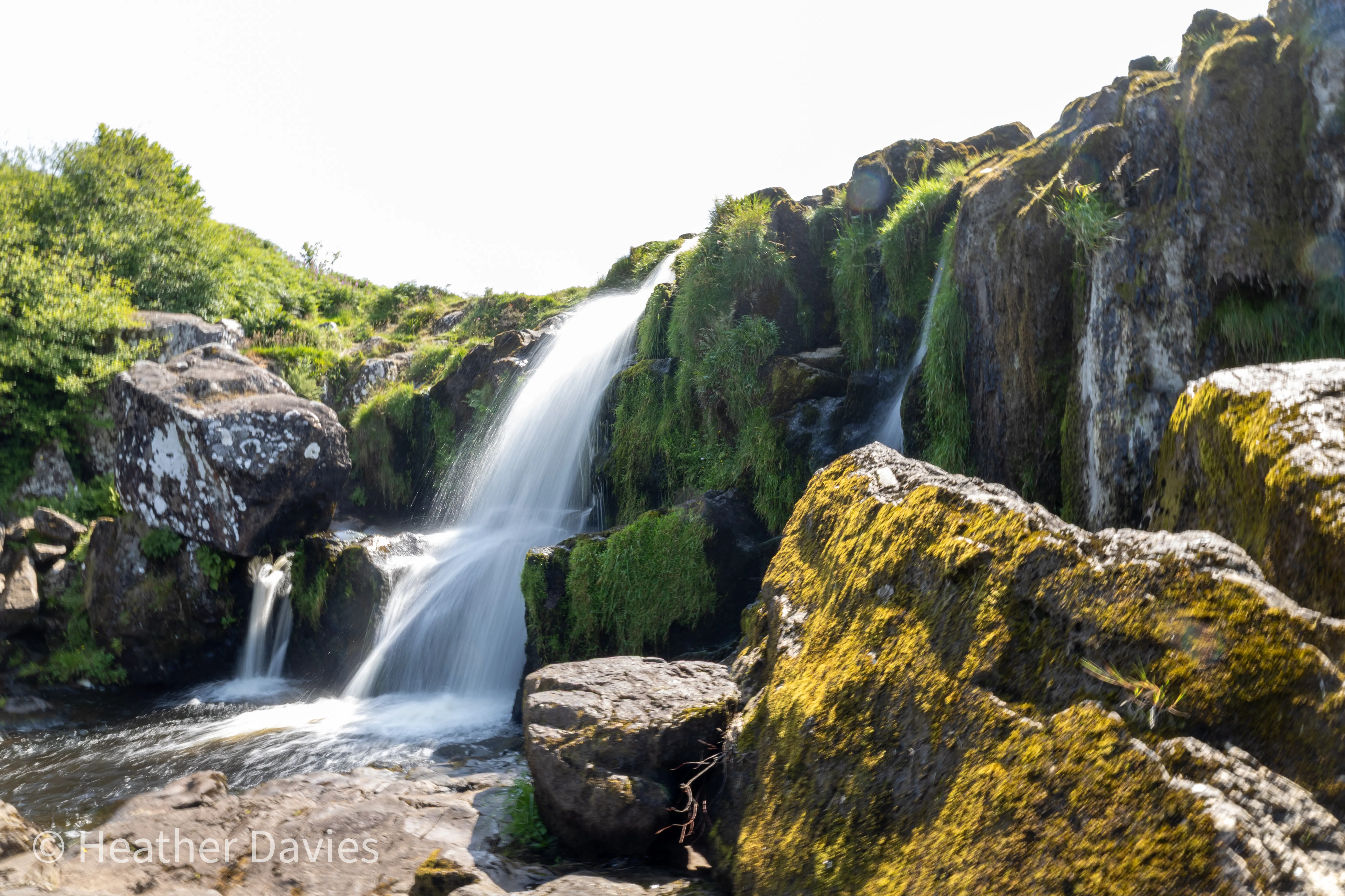 Water cascading over dark rocks amid green woodland at the Loop of Fintry