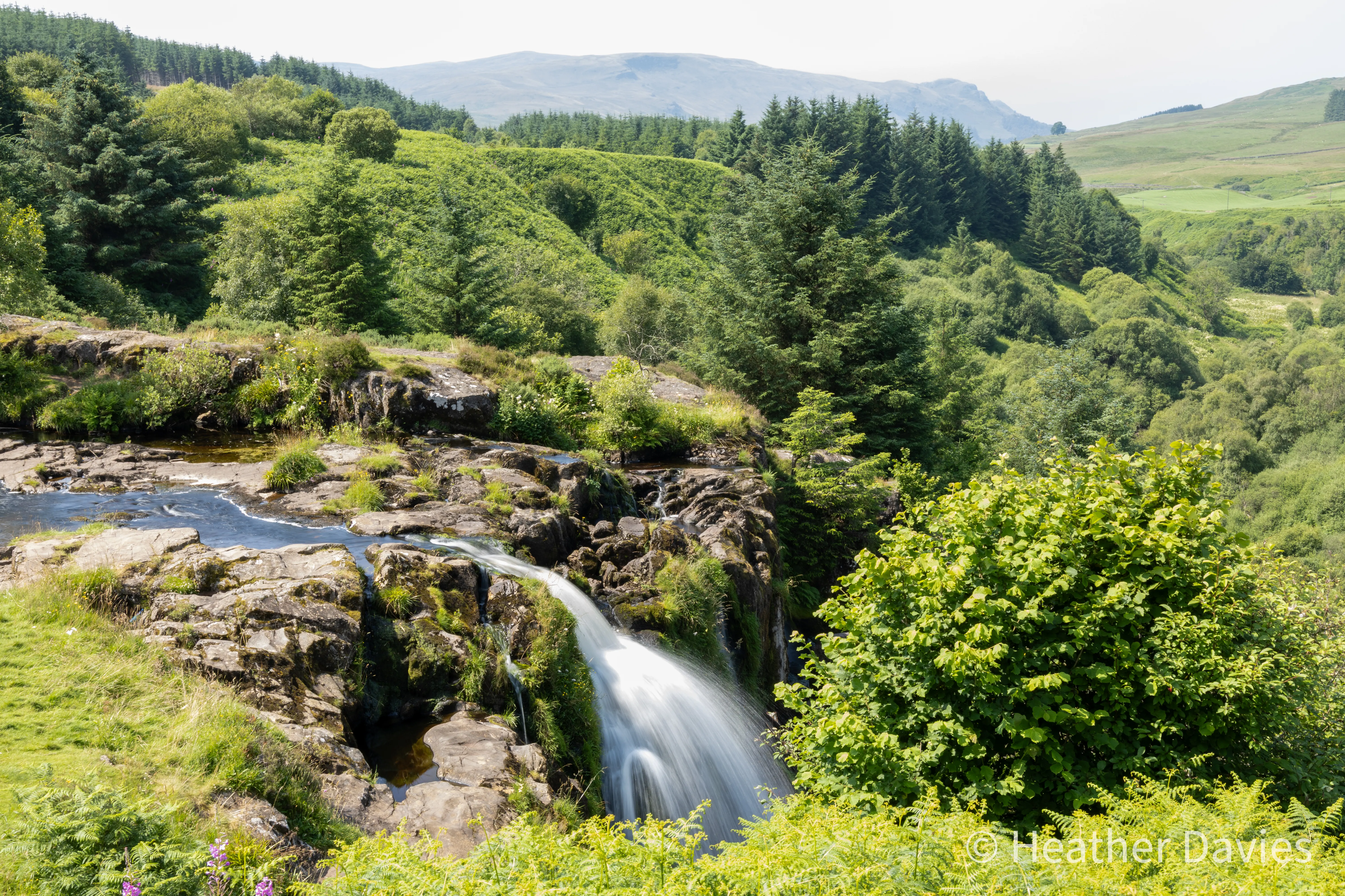 A sunlit path winding through green hills on the Loop of Fintry